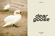 Attort Modern Elegant Font, a Sans Serif Font by Artiveko (Thumbnail 5 of 8)
