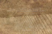 Vestige · Primal Earth Backgrounds, a Background Graphic by alonahaidash (Thumbnail 16 of 16)