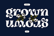 Selukar - Display Variable Font, a Serif Font by Artflorara (Thumbnail 6 of 16)