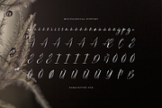 Dialmeray | Elegant Calligraphy Scri, a Script Font by gracetype_studio (Thumbnail 12 of 12)