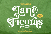 Lane Fiegras - Retro Serif Font