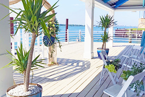 Canopy Deck Overlooking Lake
