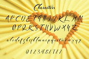 Exquisite Typeface, a Script Font by beeART (Thumbnail 5 of 5)