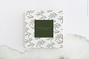 Olive branch watercolor illustration, an Illustration by Angele Kamp (Thumbnail 7 of 13)