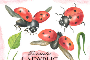 Watercolor Ladybug