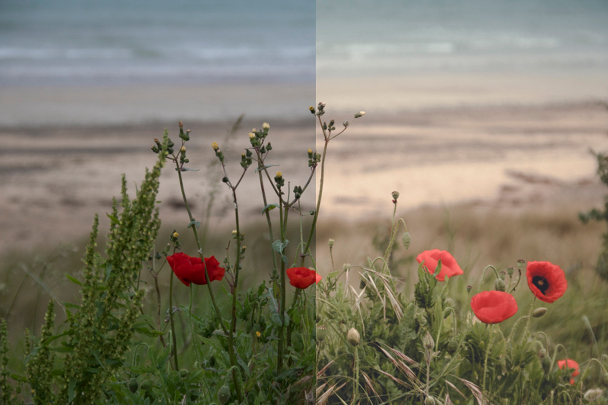 Impressions 10+2 Fineart LR Presets preview 5