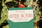 The Old Bros Oskon 90s Vintage Serif, a Serif Font by zelow type (Thumbnail 9 of 11)