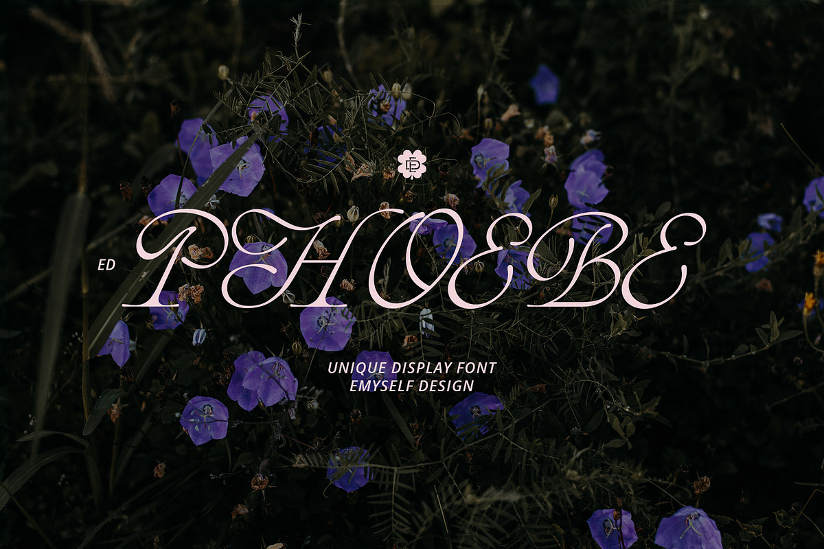 ED Phoebe, a Serif Font by Emyself Design (Photo 1 of 12)