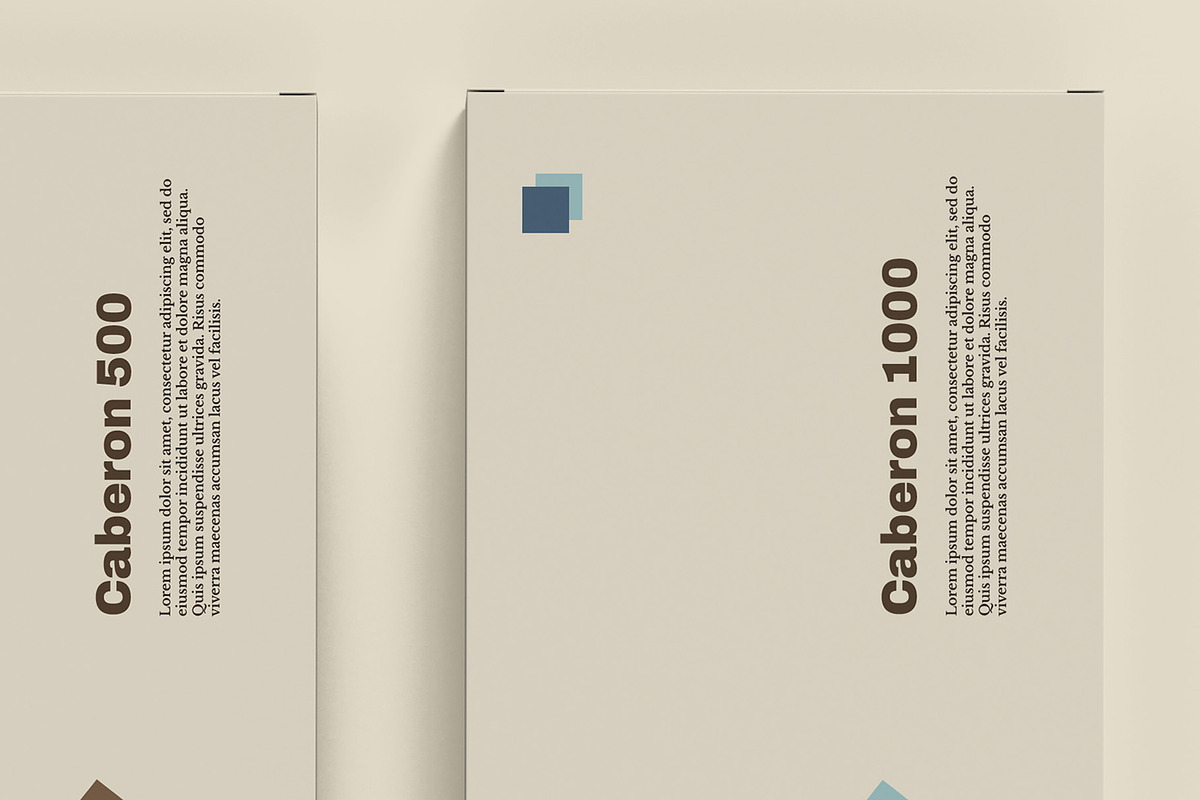 Medicine Box Packaging Mockup, a Packaging Mockup by Illusiongraphic (Photo 21 of 22)