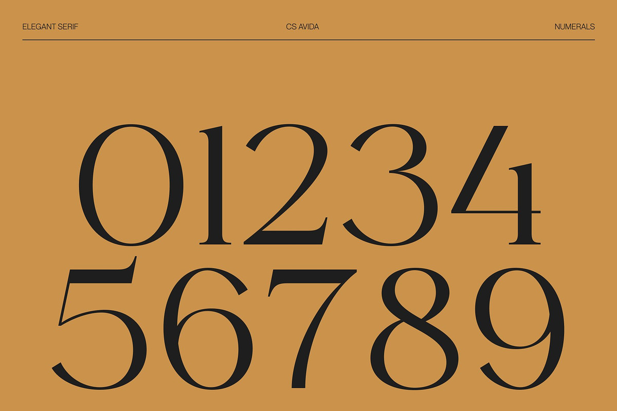CS Avida – Elegant Serif Font, a Serif Font by Craft Supply Co. (Photo 6 of 8)