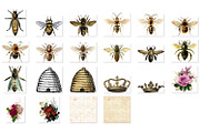 Royal Bees Clipart, an Illustration by Digital Curio (Thumbnail 3 of 3)