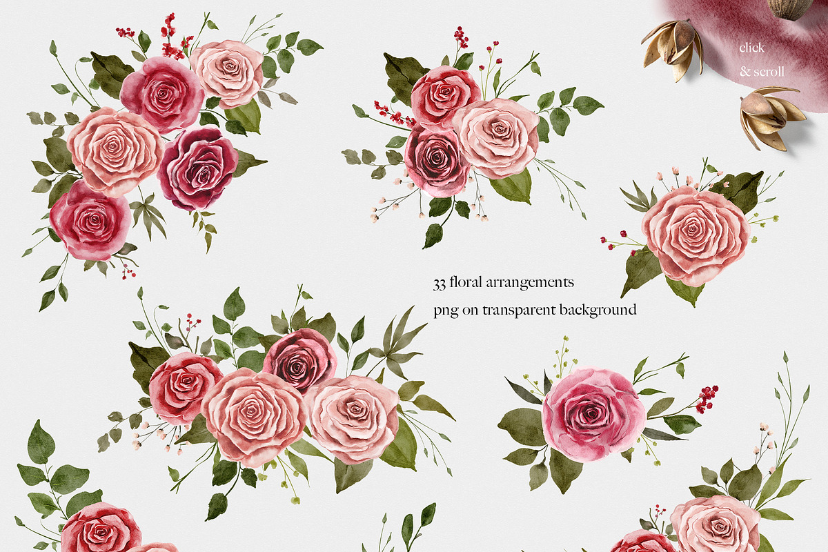 MY DEAR ROSE - Watercolor Roses, an Illustration by Backyard Rose (Photo 5 of 18)