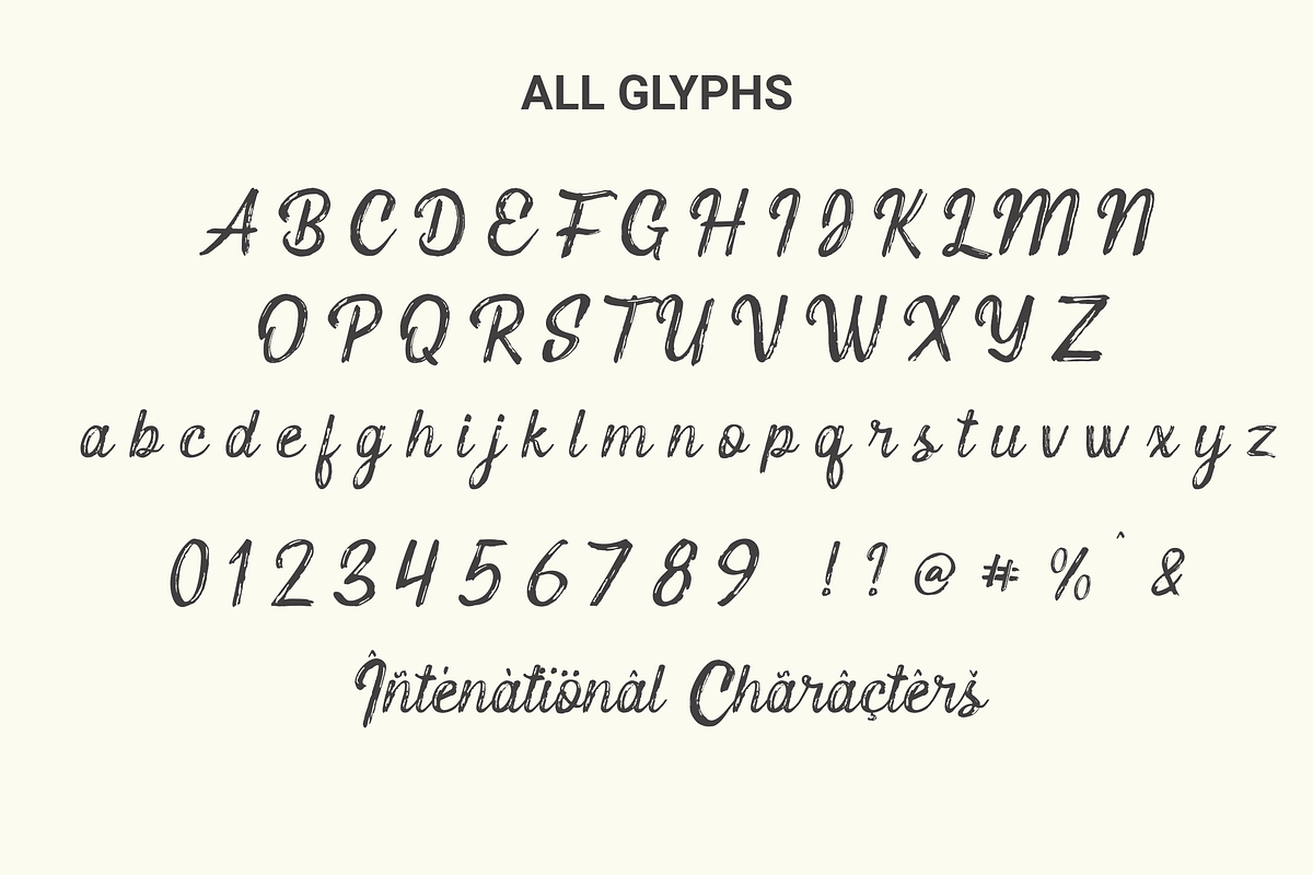 Lost City | Natural Retro Brush Font, a Script Font by Tigadestd Type (Photo 5 of 7)