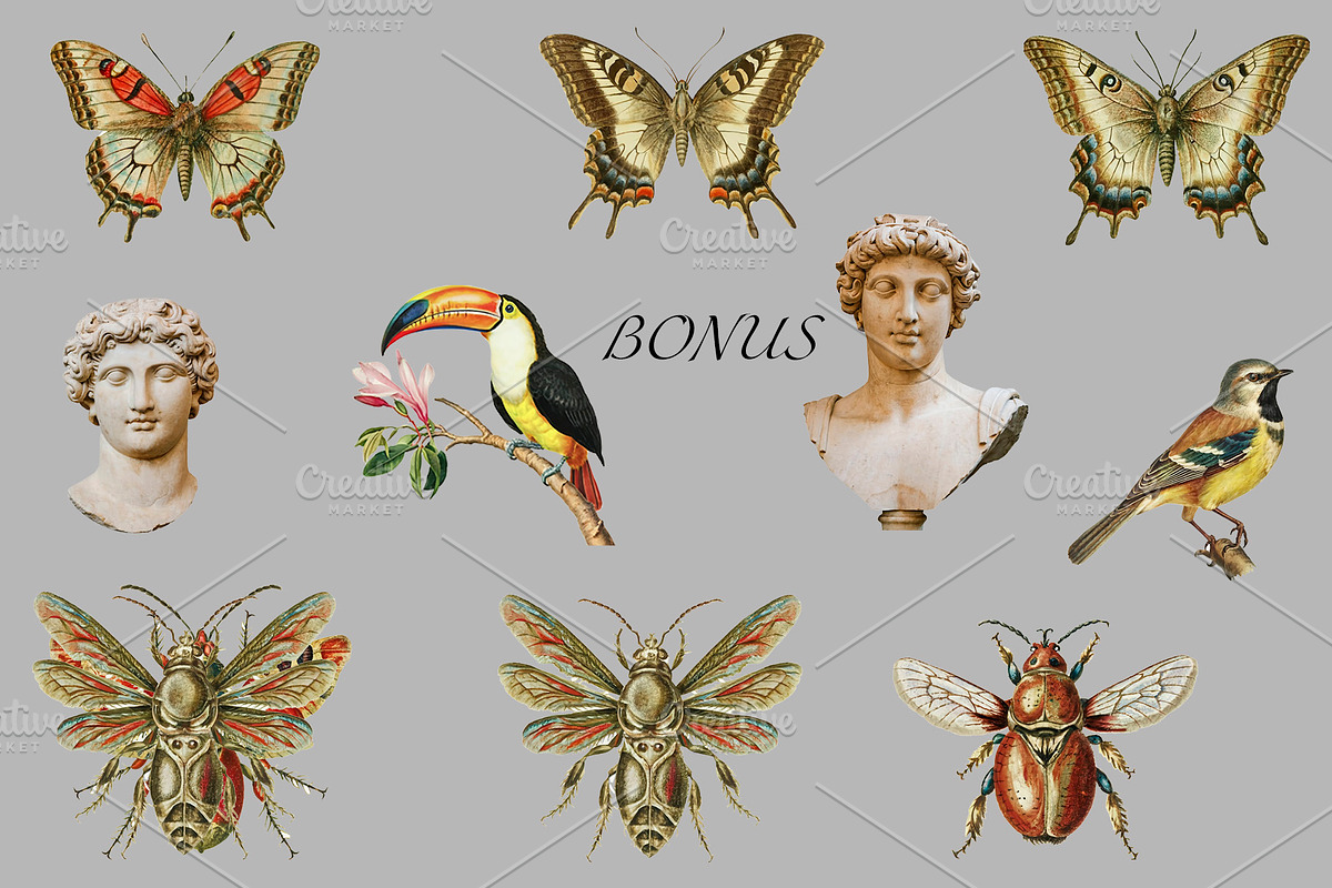 Vintage Flowers Digital Collage Pack, an Illustration by DigitalDesignAI (Photo 8 of 9)