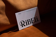 Glinke || Modern Classy Serif Font, a Serif Font by Idea Studio (Thumbnail 7 of 10)