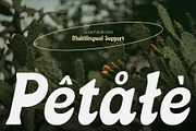 CS Cactus – Classic Font, a Serif Font by Craft Supply Co. (Thumbnail 3 of 8)