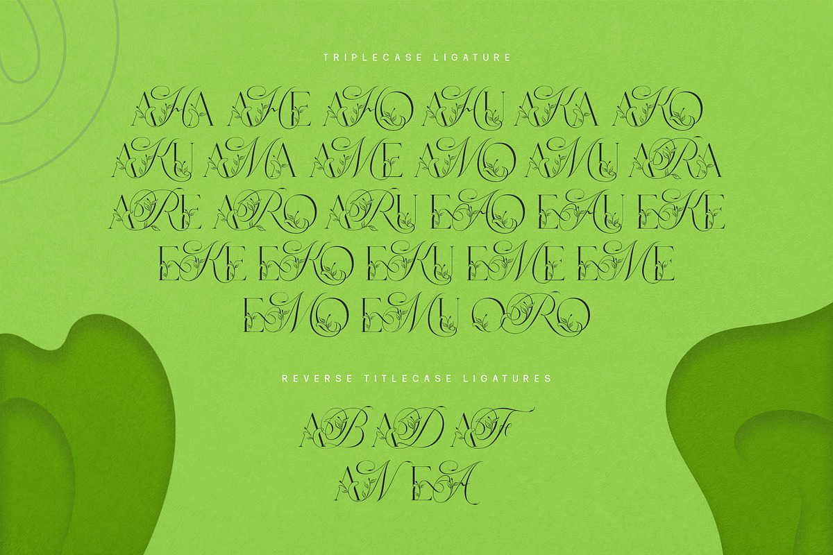 Narony Natural Typeface, a Sans Serif Font by alit design (Photo 18 of 20)