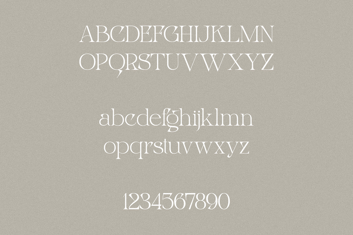 Night Whispers - Elegant Serif, a Serif Font by Mikhail Kitsune (Photo 9 of 10)