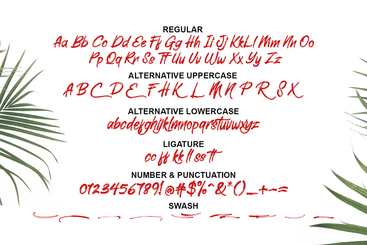 Elliot Brush Font preview 3