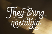 Blandony - Modern Vintage Monoline, a Script Font by Novitype (Thumbnail 6 of 12)