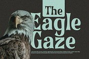 Bronze Stone - Serif Font, a Serif Font by Alpaprana (Thumbnail 2 of 10)