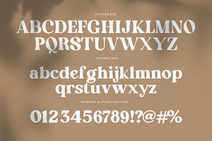 English Island Ligature Serif Font