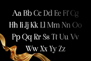 Bestogram - Logo Font, a Serif Font by RockboyStd (Thumbnail 9 of 12)