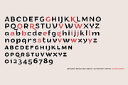 Arturo - 15 Fonts, a Sans Serif Font by Zetafonts (Thumbnail 11 of 13)