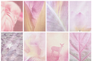 Rosewater Dreamy Pastel Backgrounds, a Background Graphic by alonahaidash (Thumbnail 13 of 16)