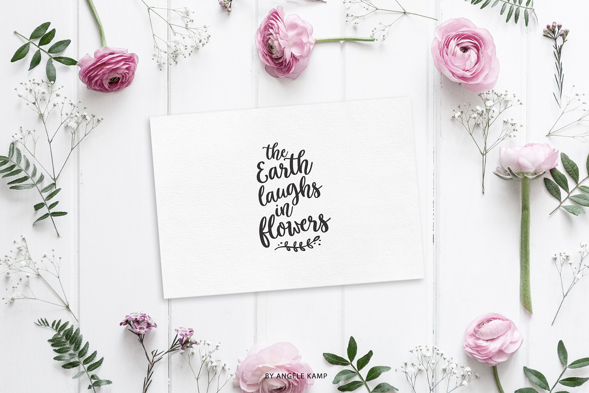 Sweet Mia modern calligraphy font preview 3