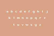 Lawson, a Font by Studio One Four (Thumbnail 3 of 6)
