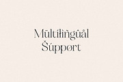 Unclare Modern Ligature Font, a Serif Font by Heinzel Std (Thumbnail 10 of 14)
