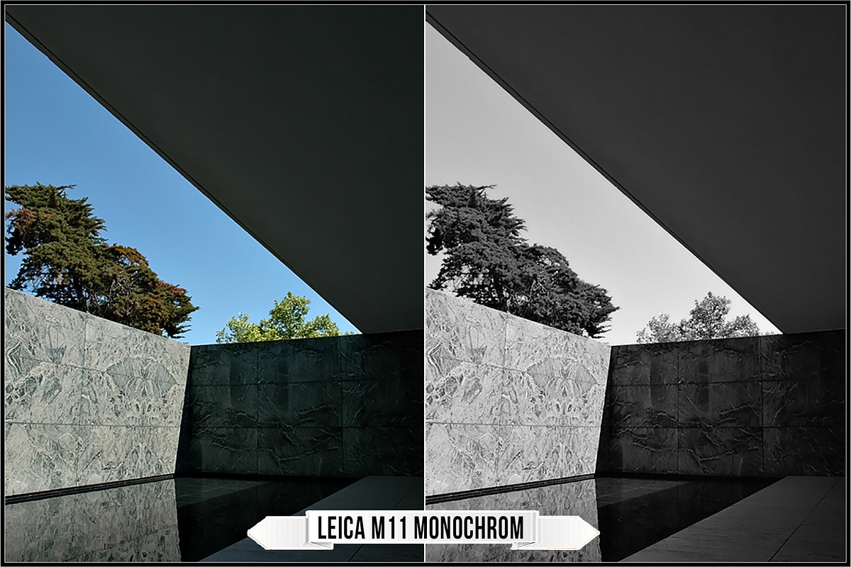 Leica Monochrom Profiles, a Plug-in Add-On by Raztrend (Photo 7 of 31)