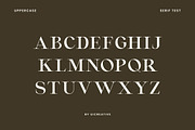 Montvolca Elegant Serif Font, a Serif Font by UICreative (Thumbnail 7 of 11)