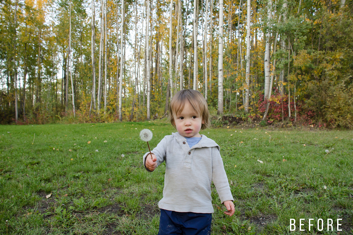 Sunshine Photography Overlays Vol. 1, a Layer Style Add-On by Ashley Alexandra Design (Photo 13 of 21)