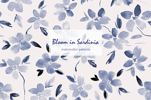 Bloom in Sardinia - pattern