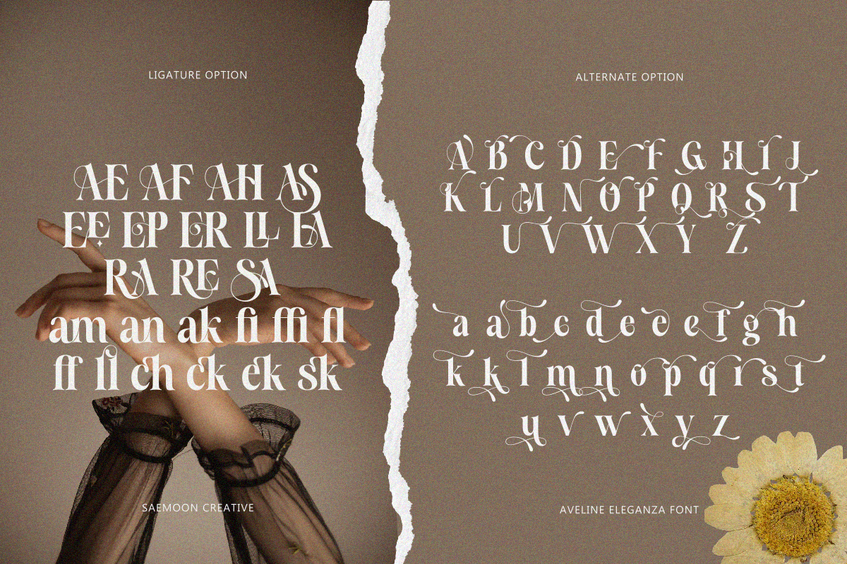 Aveline Eleganza, a Serif Font by saemoon creative (Photo 11 of 13)