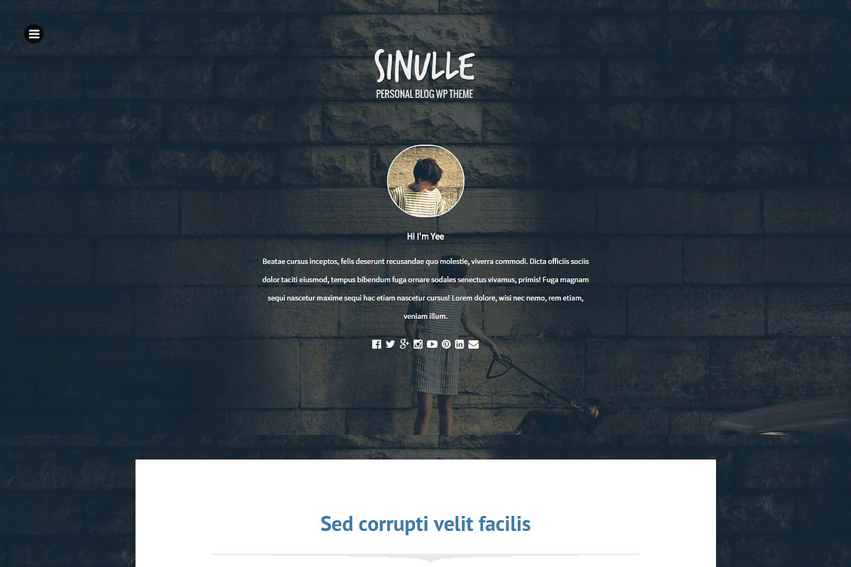 Sinulle | Fullscreen Wordpress Theme, a WordPress Template by Sami Themes (Photo 1 of 2)