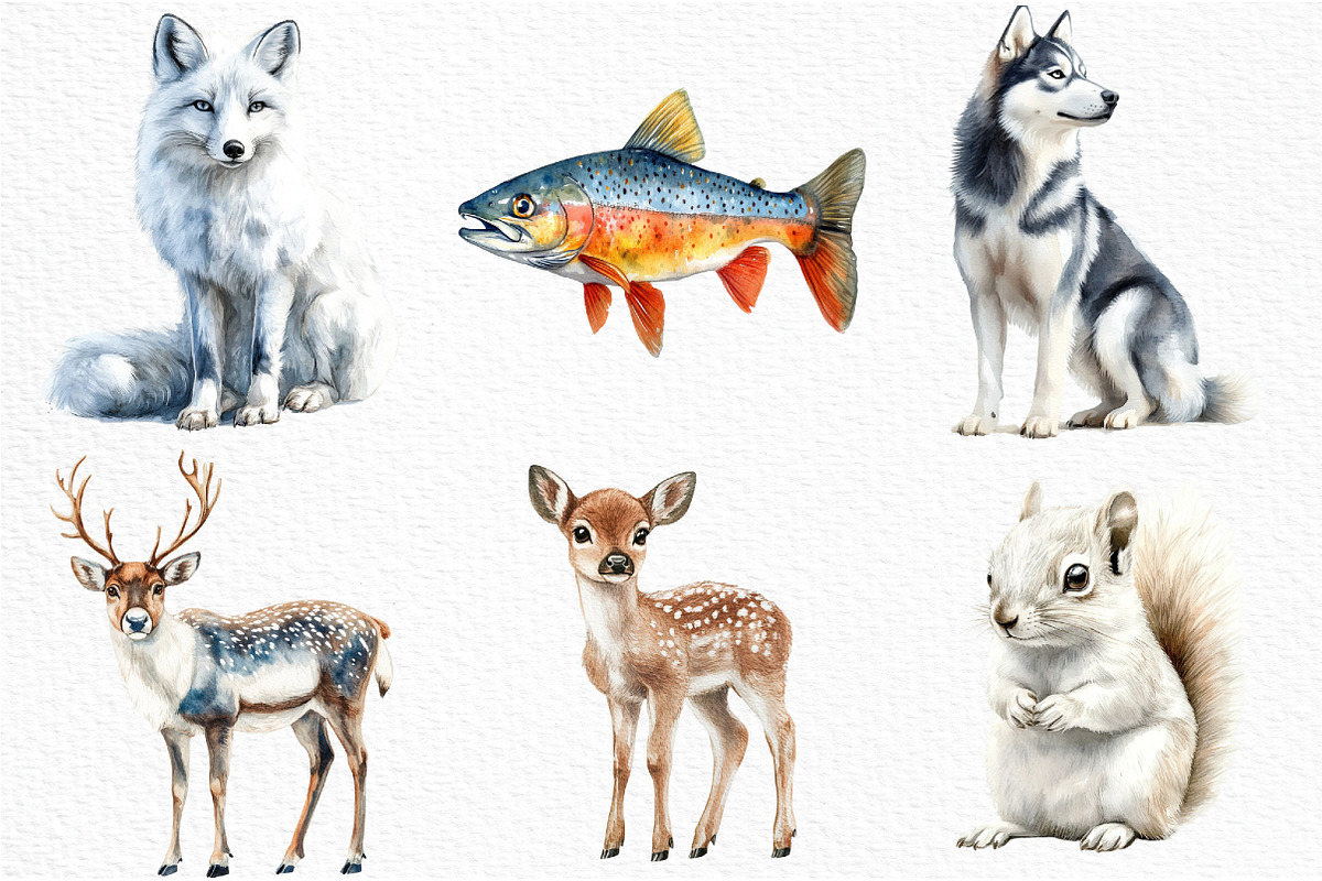 Arctic Animals Clipart, an Illustration by Craft Nest (Photo 3 of 6)
