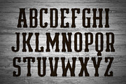 Homeplate Font Duo, a Serif Font by Alphabet Agency (Thumbnail 3 of 8)