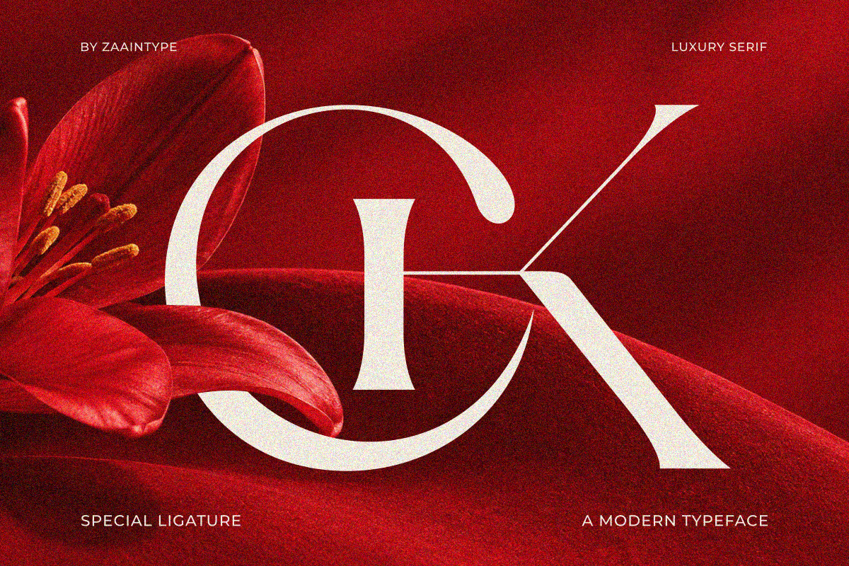 Wosh, a Serif Font by zaaintype (Photo 2 of 12)