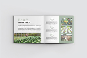 Agriculture Square Company Profile