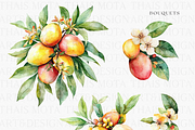 Watercolor Mango Clipart, a Decorative Illustration by ThaismotaCreativeCo (Thumbnail 3 of 10)