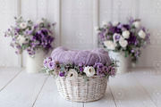 Newborn Basket Digital Backdrop, a Layer Style Add-On by Wild Honey Design Co. (Thumbnail 2 of 2)