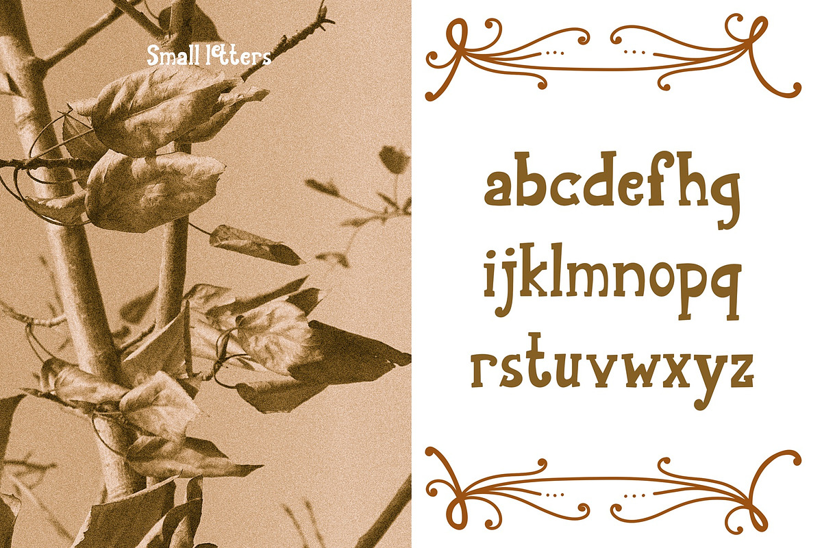 Still City Experimental serif font, a Slab Serif Font by Yelloo Fish (Photo 5 of 12)