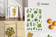 Botanical Watercolor Collection, a Pattern Graphic by mila_leev (Thumbnail 4 of 13)