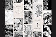 Moody Styled Floral Photography, a Wallpaper Photo by AM Studio (Thumbnail 1 of 3)