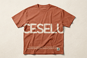 Ceselu - A Refined Luxury Serif, a Serif Font by Astuti Studio (Thumbnail 13 of 24)