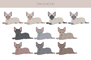 Thai Lilac cat, an Animal Illustration by pet design shop (Thumbnail 4 of 6)