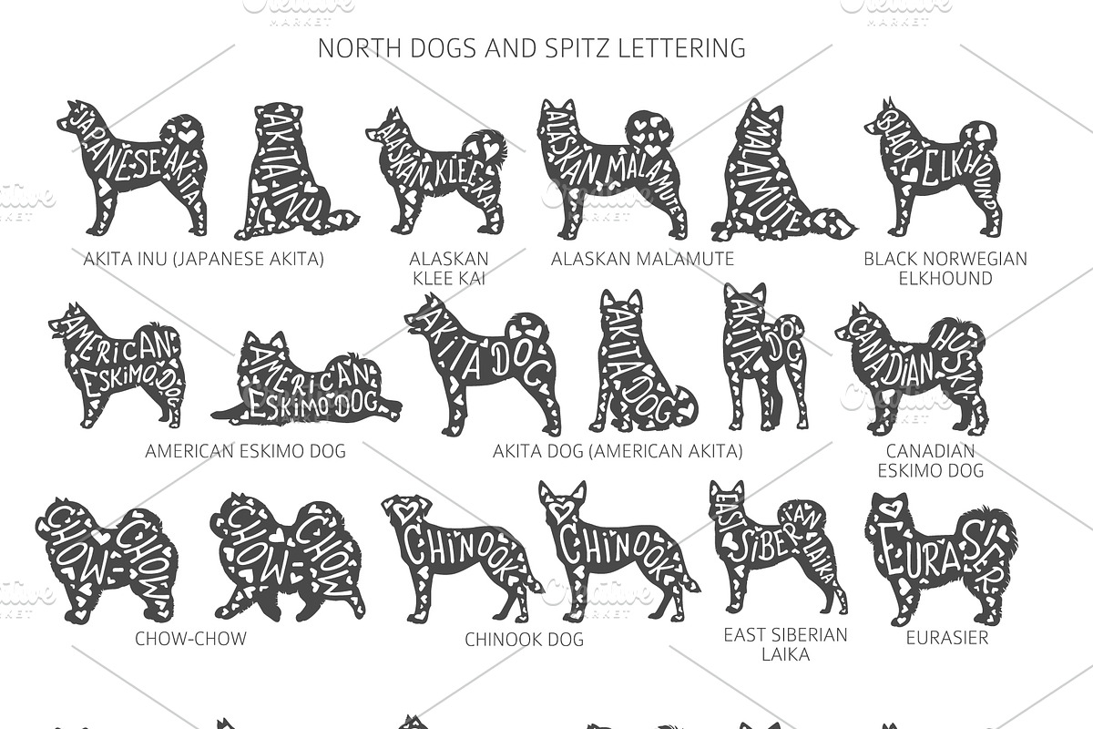 North breeds and Spitz Silhouettes, an Animal Illustration by pet design shop (Photo 7 of 10)